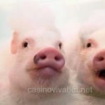 Avatar Alejandra Reyes