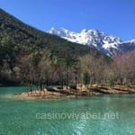 Avatar Carolina Sandoval